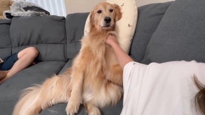 前足でツンツンと催促