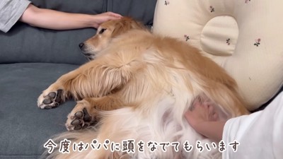 甘えん坊のおからちゃん