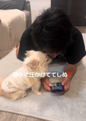 ゲームに夢中な彼氏と見つめる犬