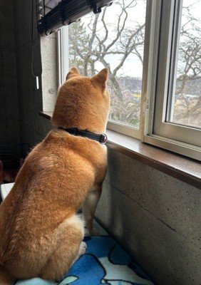 投稿主さんを待ってる…？