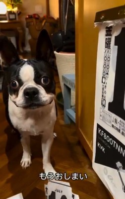 おしまいと言われたマルタくん