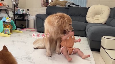 心配する一幕も