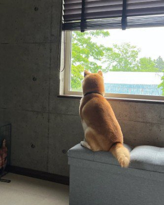 何を見ているのかな？