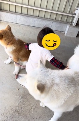 ワンコが好きな男の子