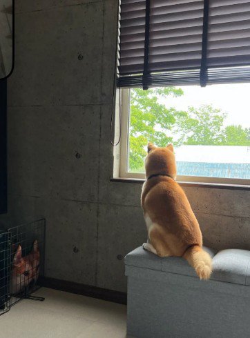 待ちわびてなかった