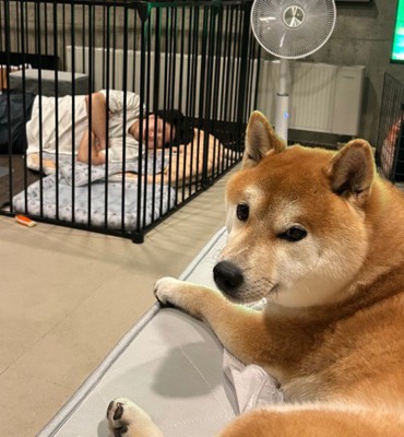 「あの人どうにかして?」