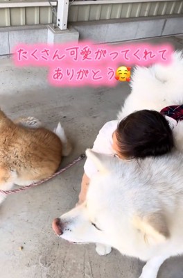 桜ちゃんに顔を埋める男の子