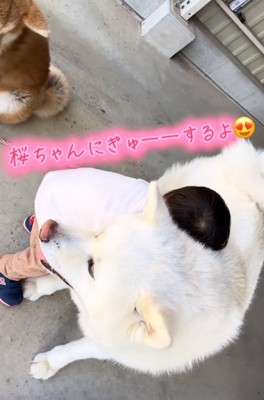 桜ちゃんに抱きつく男の子
