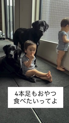 赤ちゃんに話しかける母親