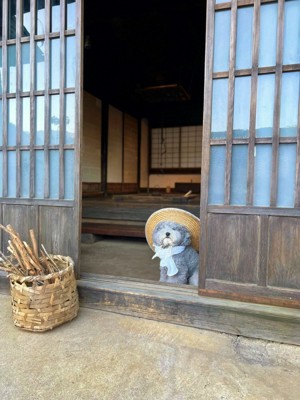 風情