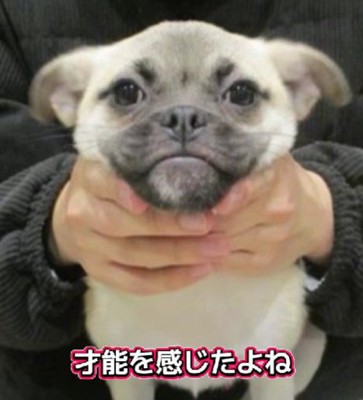 「人生何週目?」