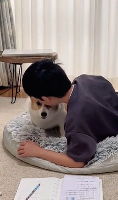 宿題中の男の子とココちゃん8