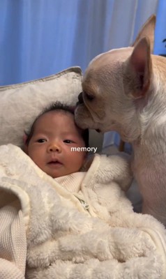 ぶうちゃんと赤ちゃん2