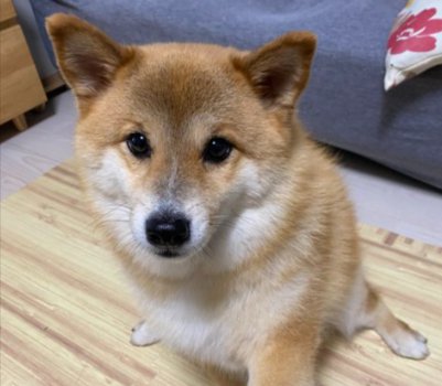 普段は