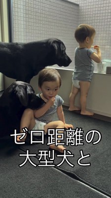 おやつを食べる双子の赤ちゃん