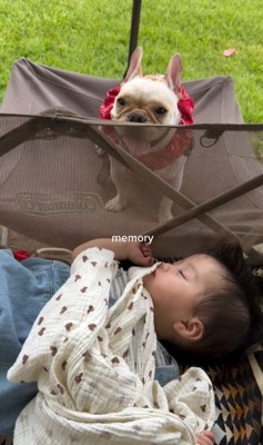 ぶうちゃんと赤ちゃん8