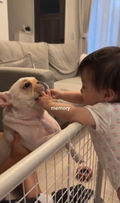 ぶうちゃんと赤ちゃん9