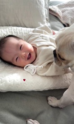 ぶうちゃんと赤ちゃん4