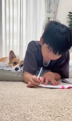 宿題中の男の子とココちゃん⑩