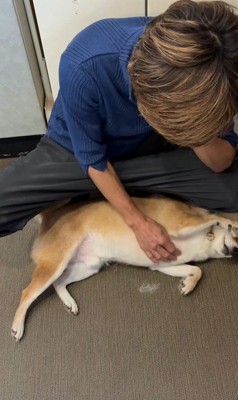 ぽんた君の変化⑩