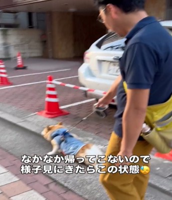 踏ん張る犬1