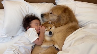 いい夢みれそう!