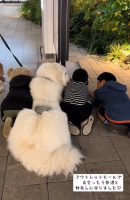 横の子どもに顔を近づけるわたまるくん1