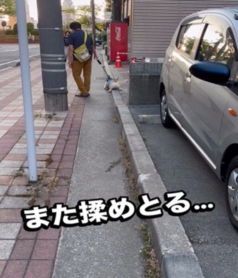 飼い主と犬