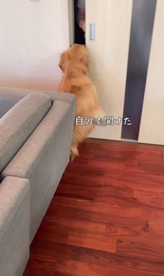 サンちゃんの熱烈歓迎5