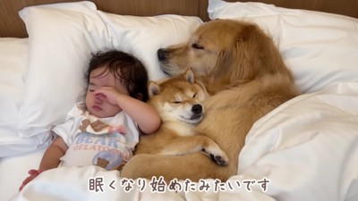 包容力溢れるわんこたち♡