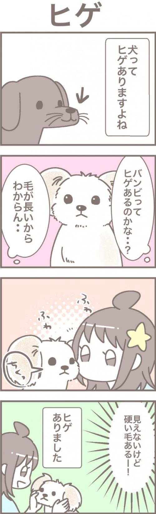 うちの王様にはどうしても抗えない【第321話】