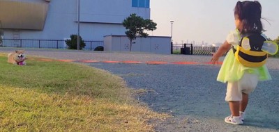 突如として「拒否柴」に…