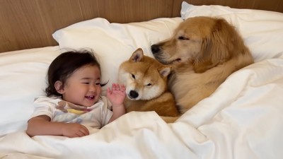 ほのちゃんも来たけど…