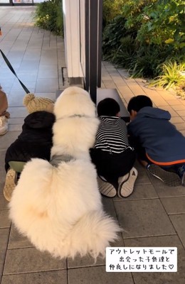 わたまるくんと子どもたち2