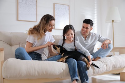 犬を撫でる女の子