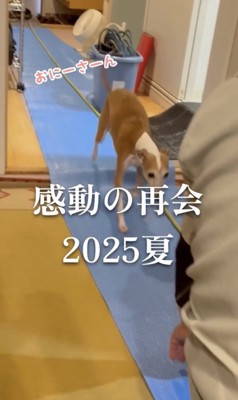 感動の再会