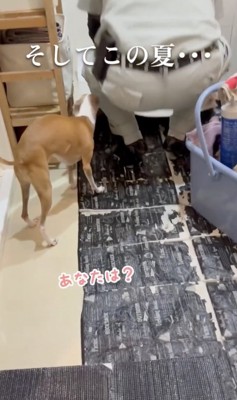 「あの時の…?」