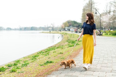 散歩する女性と犬