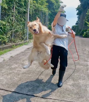 アニメの