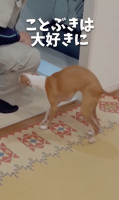 ラブ業者さん!!