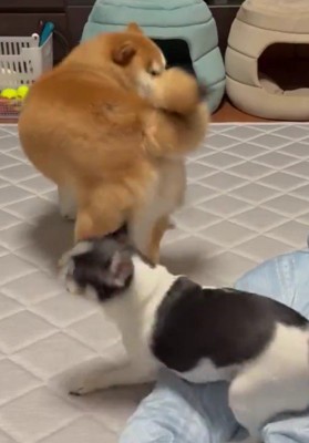 堪忍袋の緒が切れた!