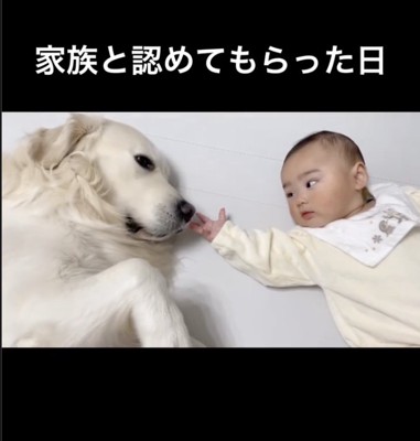 チョンチョン