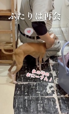 やっと会えた!