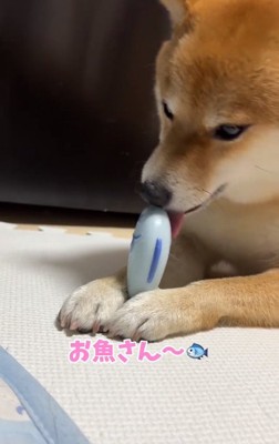 おもちゃが取れたはなちゃん