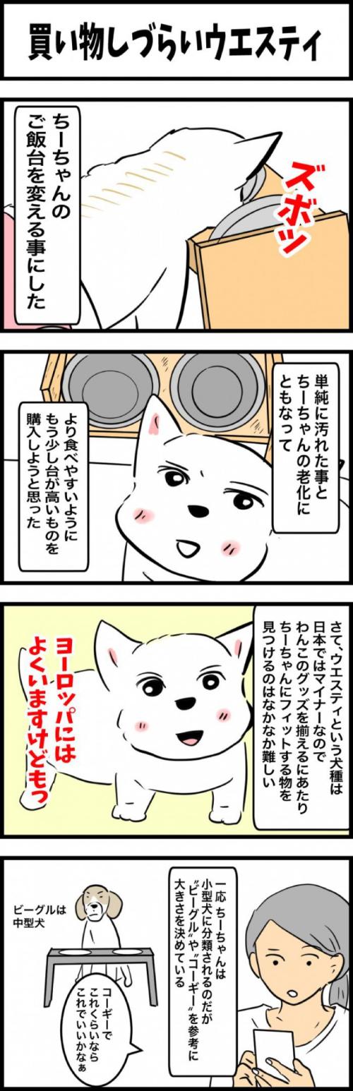 ちーちゃんですけどもっ【第326話】 1