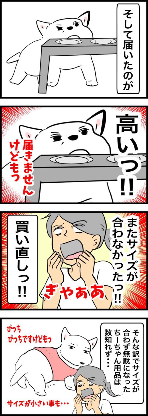 ちーちゃんですけどもっ【第326話】2