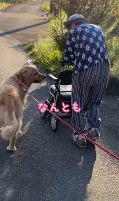 ゆず君とおばあちゃん9