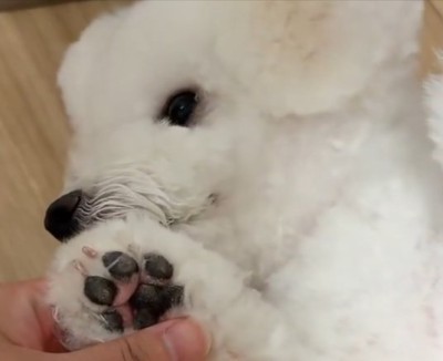 愛情