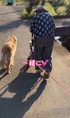 ゆず君とおばあちゃん6