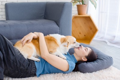 女性の顔を舐める犬